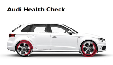 audi-health-check