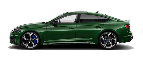 Miniatura-Audi-RS5-Sportback