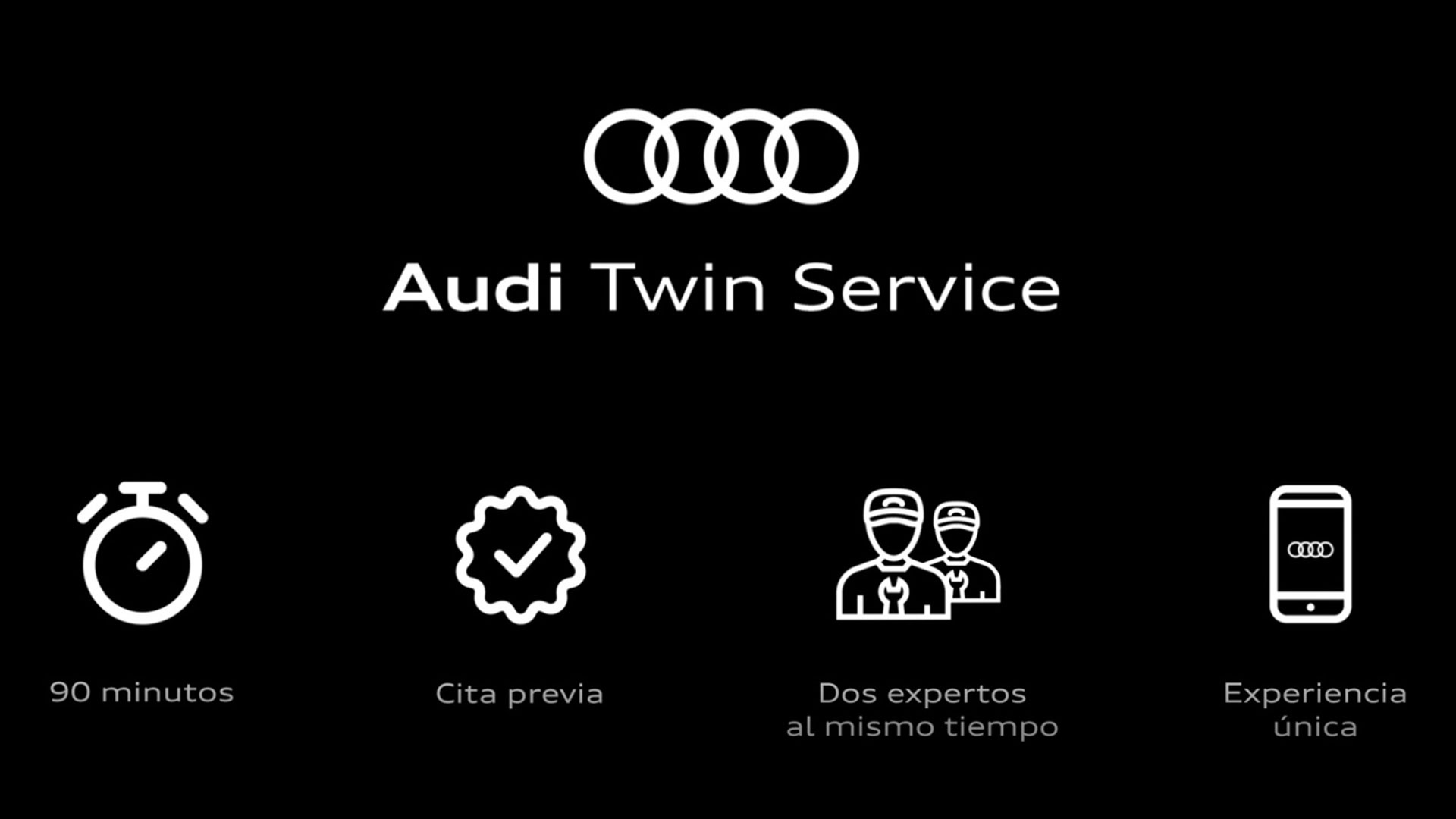 Audi-Twin-Service