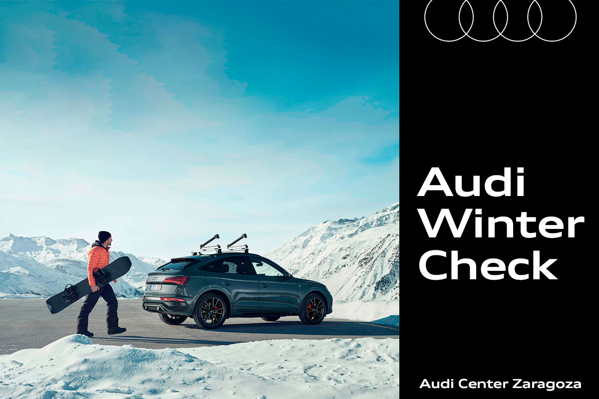 Audi-winter-check-23